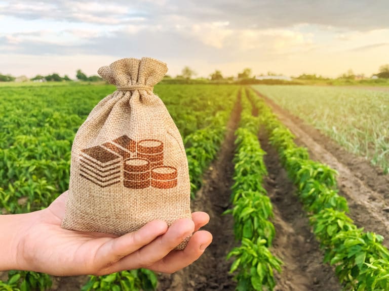 Erbschaftsteuer Landwirtschaft